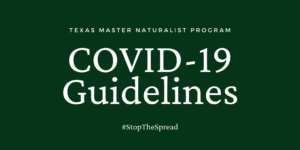 Covid-19 TMN Guidelines