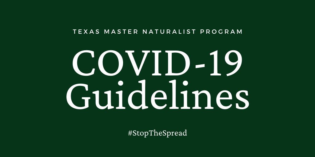Link to COVID-19 Guidelines
