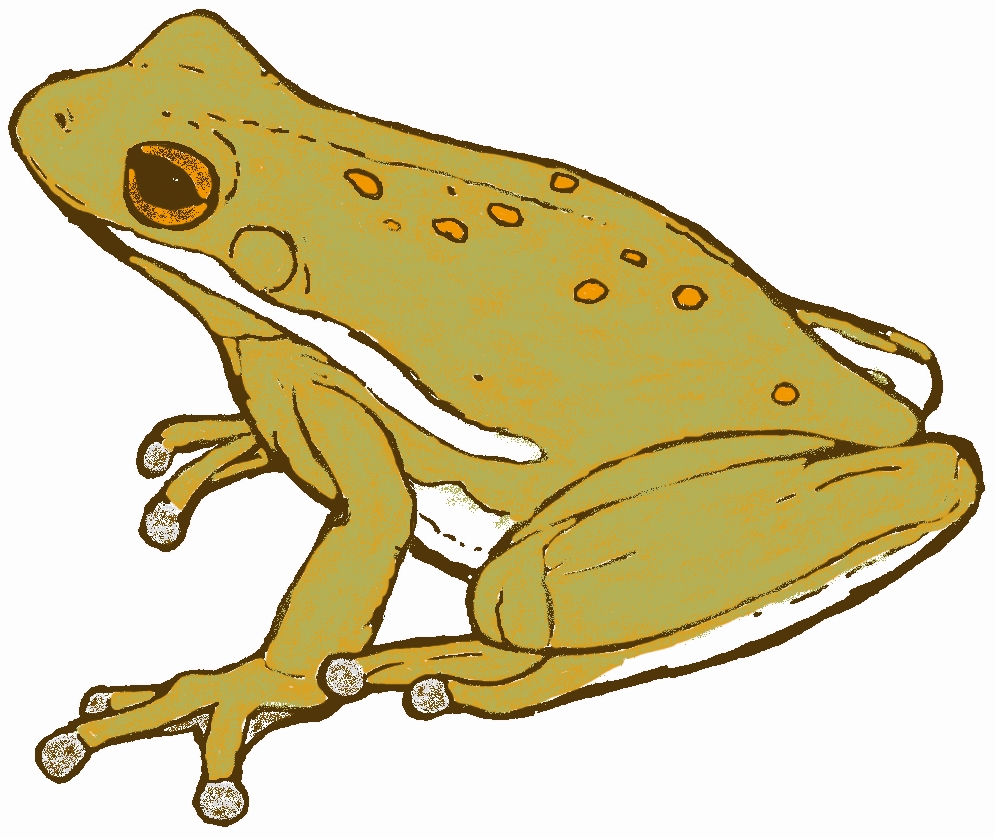 Green Frog Logo TMN