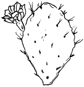 Prickly Pear Logo TMN Black and White