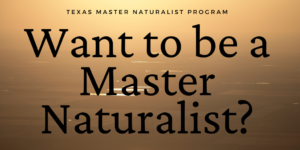 Want to be a Texas Master Naturalist? Click here.
