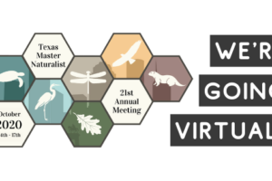 TMN Annual Meeting Virtual Logo