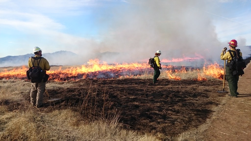 Image of a prescribed burn patch with two individuals in fireproof gear monitoring the fire line.