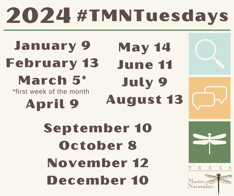 2023 TMN Tuesday Dates and Link