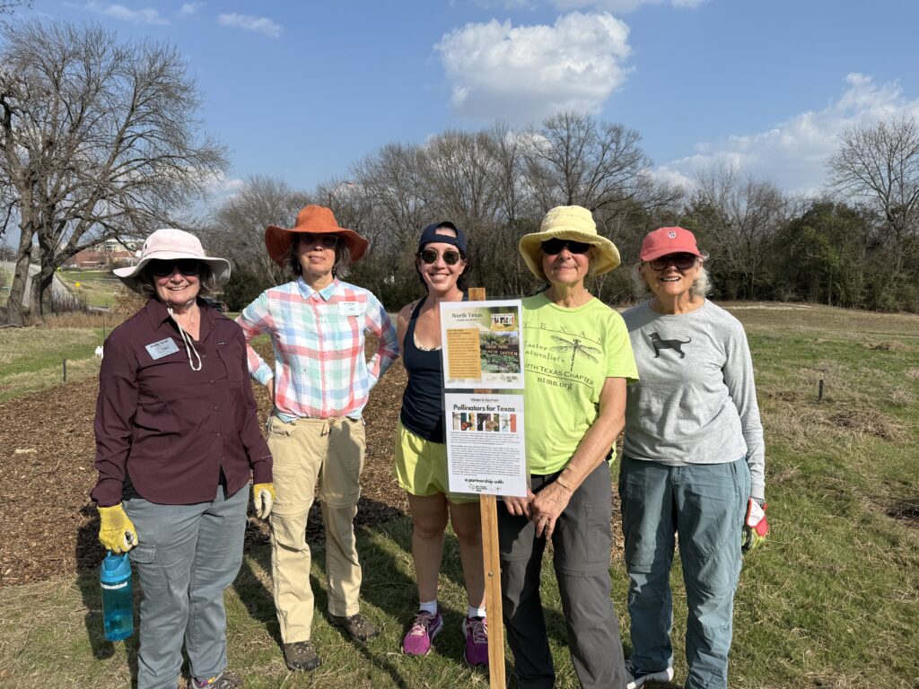 North Texas Approved photo