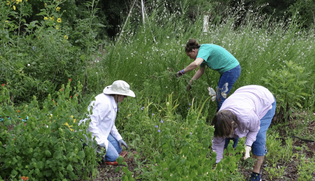 Screenshot 2025-09-24 at 4.23.16 PM